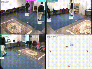 Multi-camera BEV mapping demo